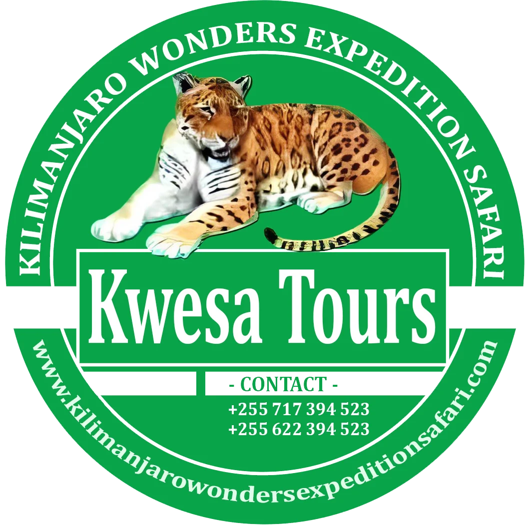 Kwesa Tours