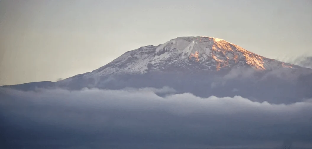 Kilimanjaro above the clouds