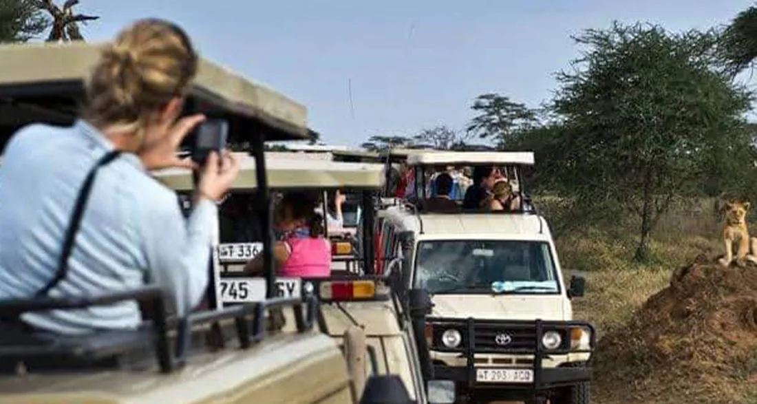 Uganda Family Safari Tour