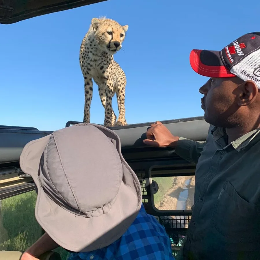 Family Safari Tour Tanzania: 8 Days of Wildlife & Culture